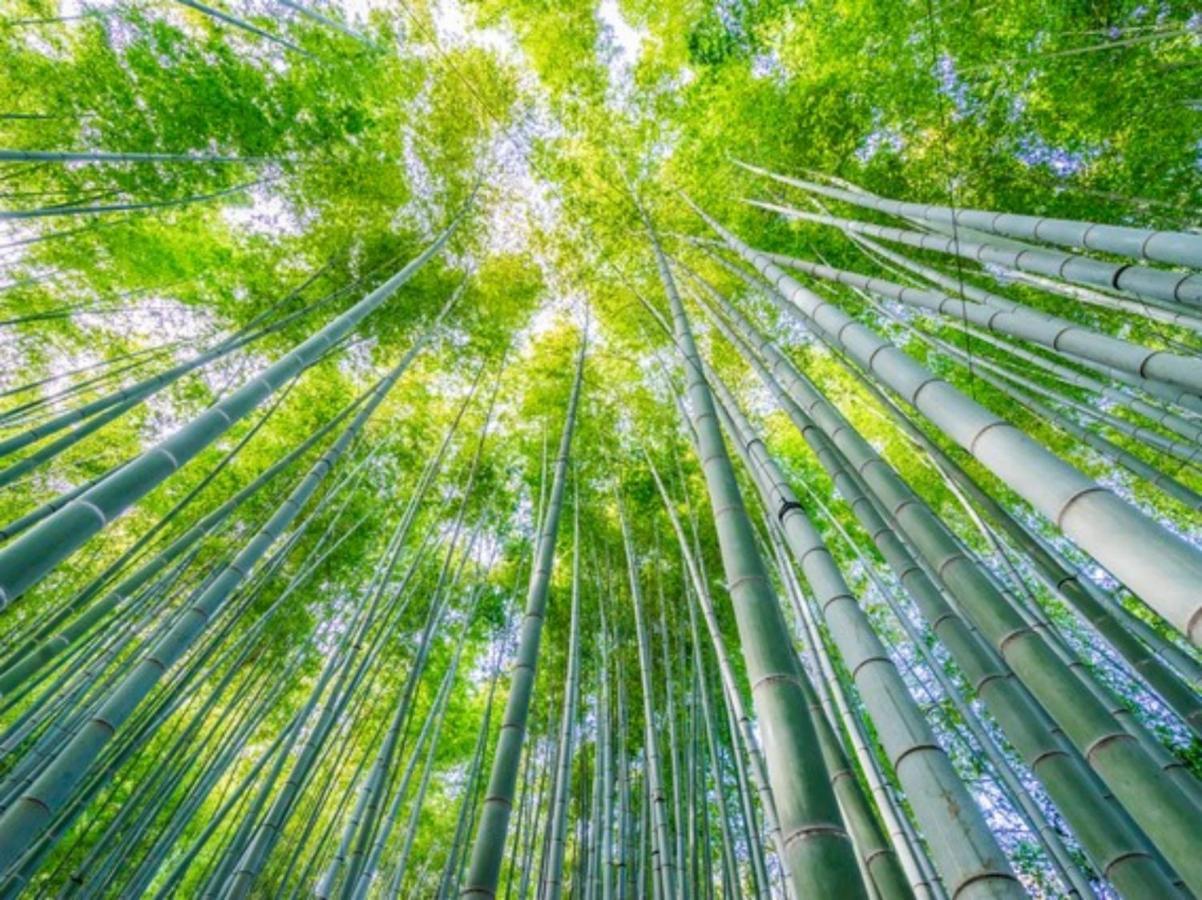 Kamakura Cocon Hotell Exteriör bild