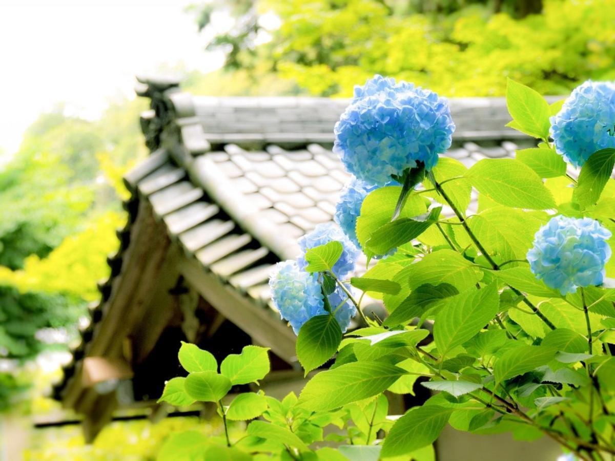 Kamakura Cocon Hotell Exteriör bild